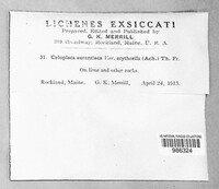Image Associated With the Occurence